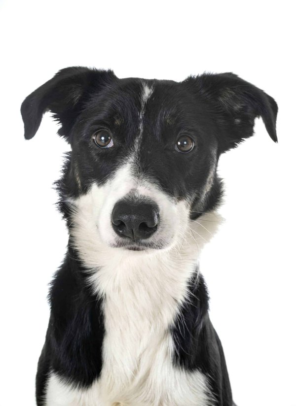 Guide d'achat: collier lettres personnalisé pour elle